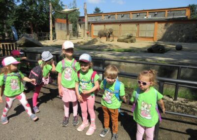 Školní výlet ZOO Liberec – Koťata – 12.6.2025