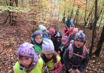 Veselé putování se skřítkem Dubáčkem do lesa – Koťata – 21.10.2025